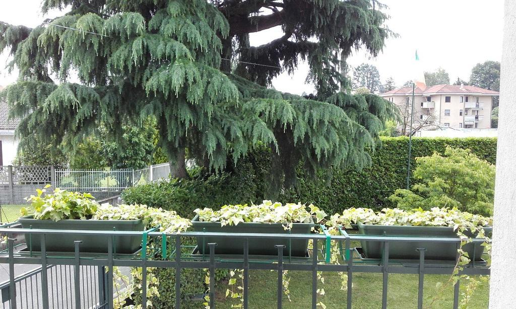 Affittacamere Giudici Lentate sul Seveso Luaran gambar